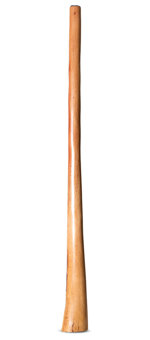 Natural Finish Flared Didgeridoo (TW1809)